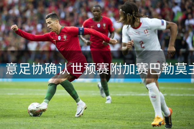 意足协确认世预赛附加赛巴勒莫主场战北马其顿